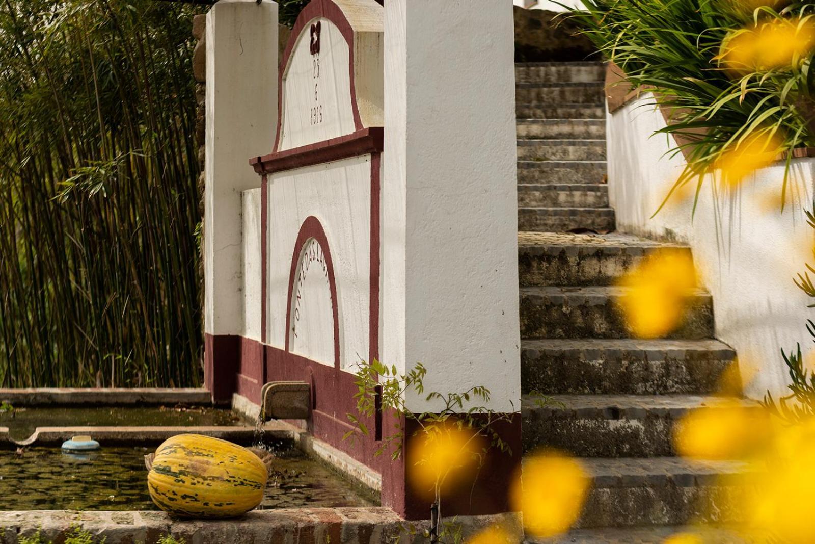 Ferienwohnung Quinta Da Asneira Montemor-o-Novo Exterior foto