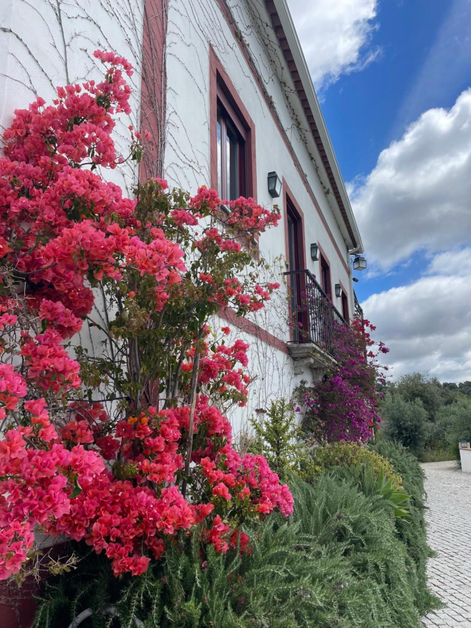 Ferienwohnung Quinta Da Asneira Montemor-o-Novo Exterior foto