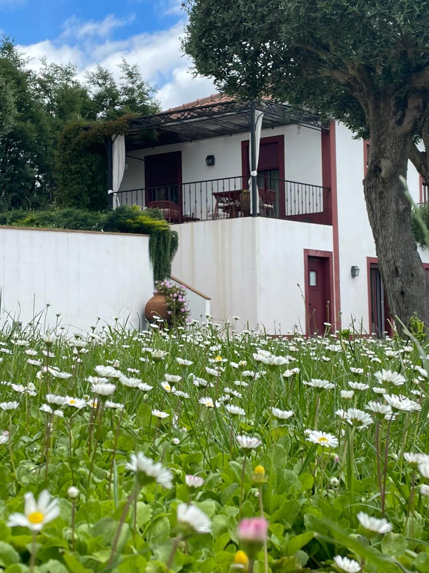 Ferienwohnung Quinta Da Asneira Montemor-o-Novo Exterior foto